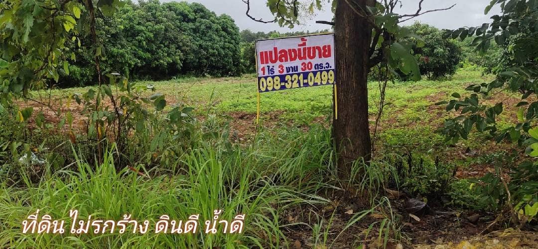 ขายที่ดินลำพูน ทุ่งหัวช้าง 1-3-30.3ไร่