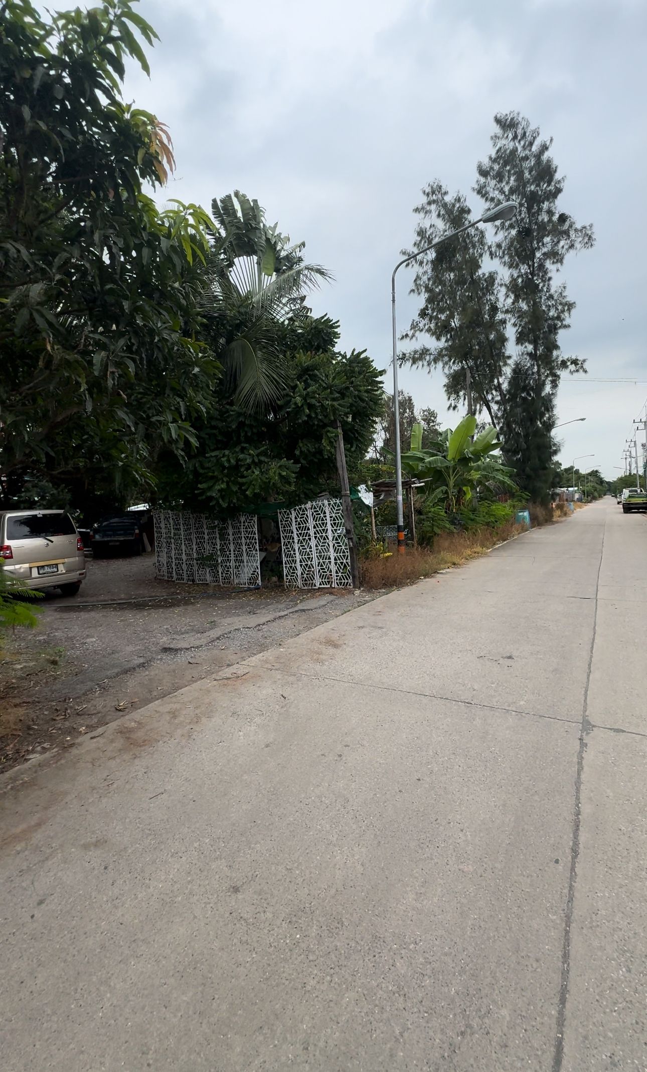 ขายที่ดิน จ.ปทุมธานี ลำลูกกา (ธัญญะ)