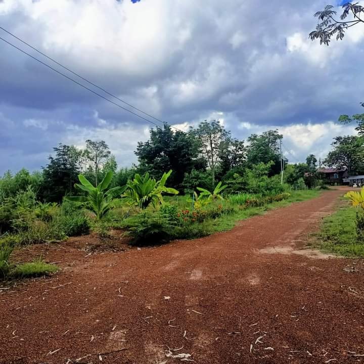 ขายที่ดินพร้อมบ้านไม้ เพ็ญ อุดรธานี 8 ไร่