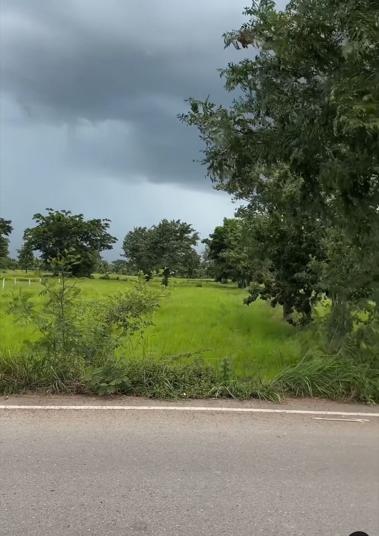 ที่ดินทำเลสวย