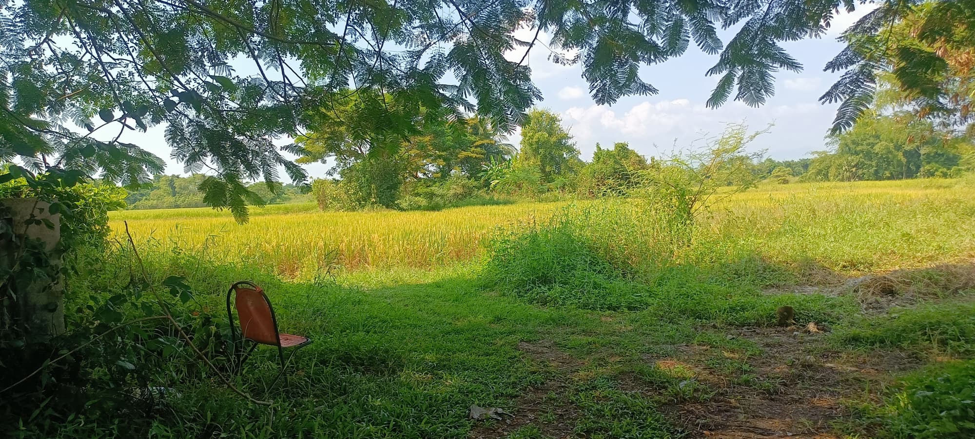 ขายที่ดินลำปาง เมืองลำปาง 9-3-32