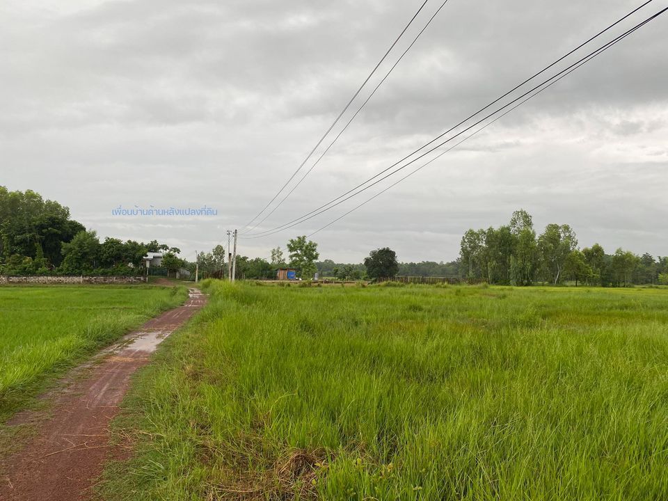 ที่ดินจังหวัดหนองคาย อ.โพนพิสัย หนองคาย 3-1-13 ไร่