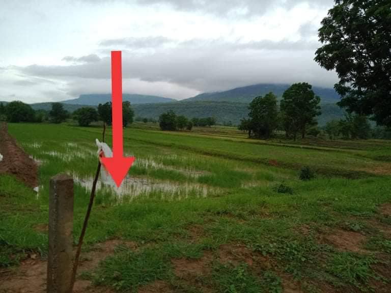 ที่ดินวิวเขา หนองบัวแดง ชัยภูมิ 16-3-99 ไร่