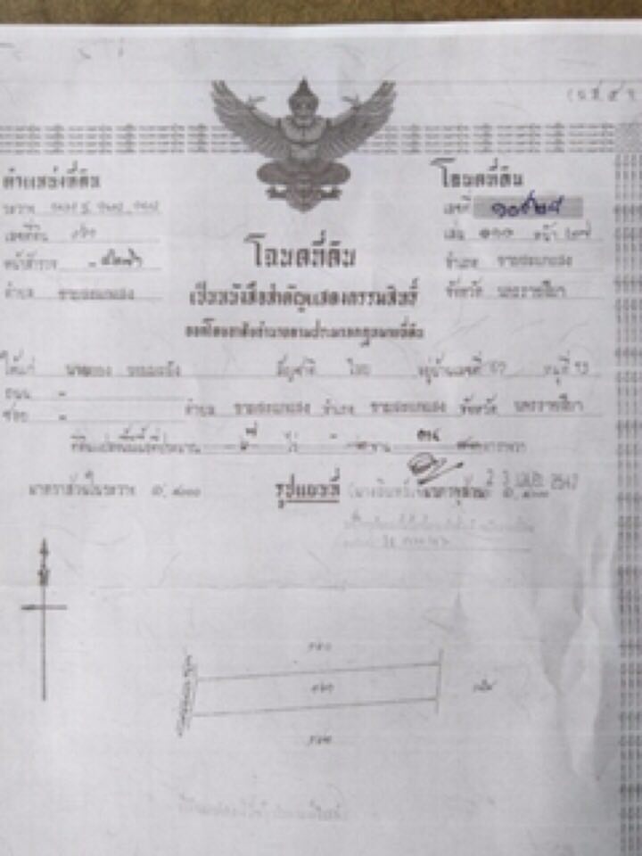 ที่ดินเปล่า ขามสะแกแสง โคราช 2-1-31