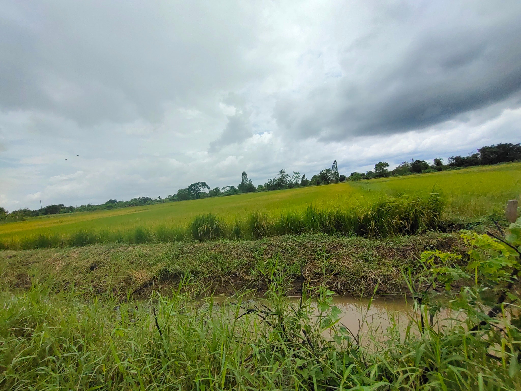 ที่ดินเปล่า เมืองขอนแก่น 4-3-18.5