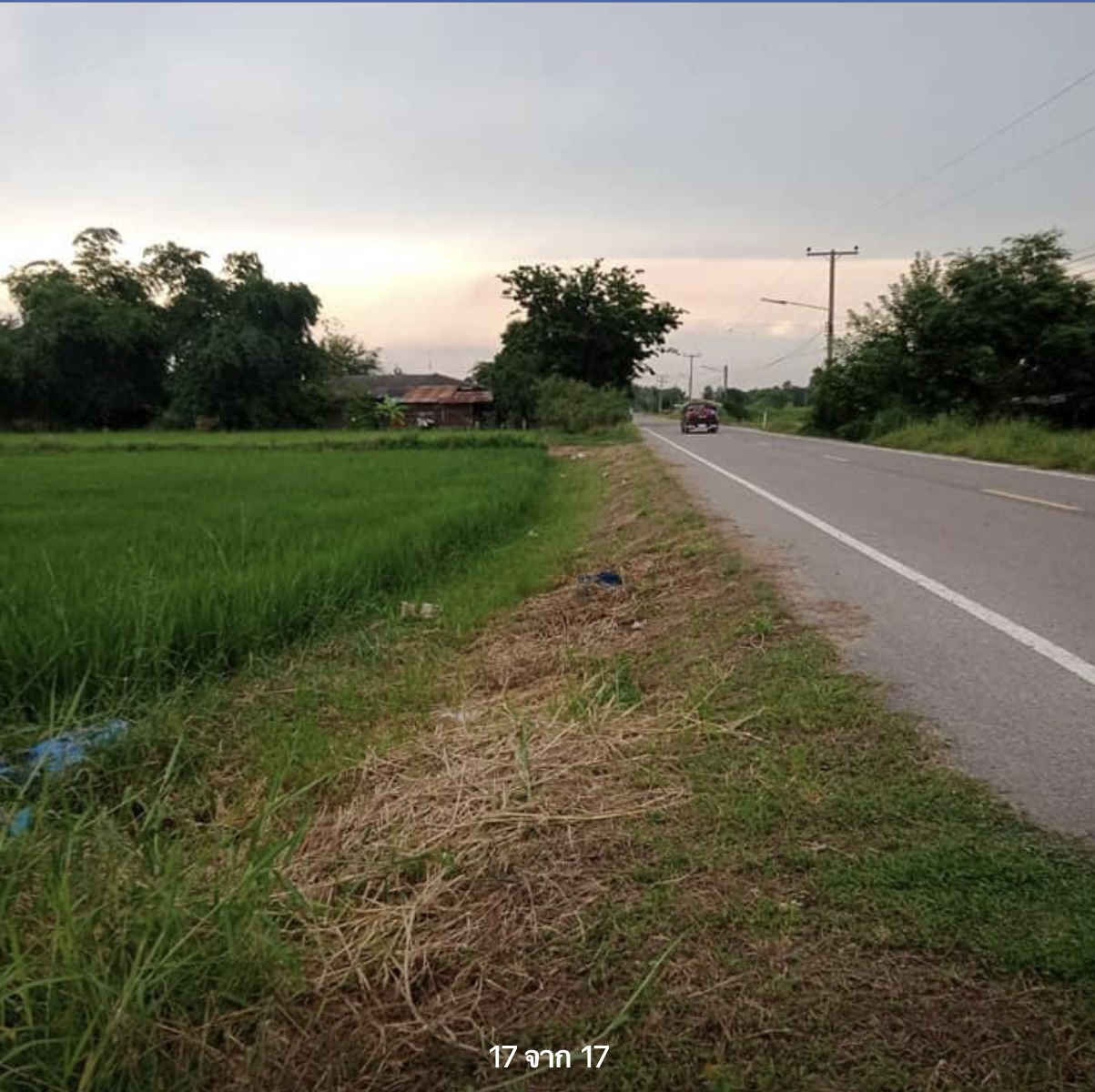 ขายที่ดินเปล่า อ.เมือง จ.พิษณุโลก 4-1-59.3ไร่