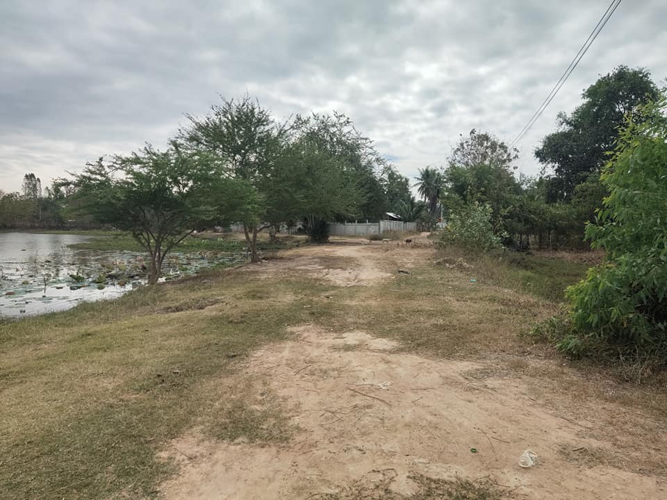 ขายที่ดิน บุรีรัมย์ 218 ตรว.