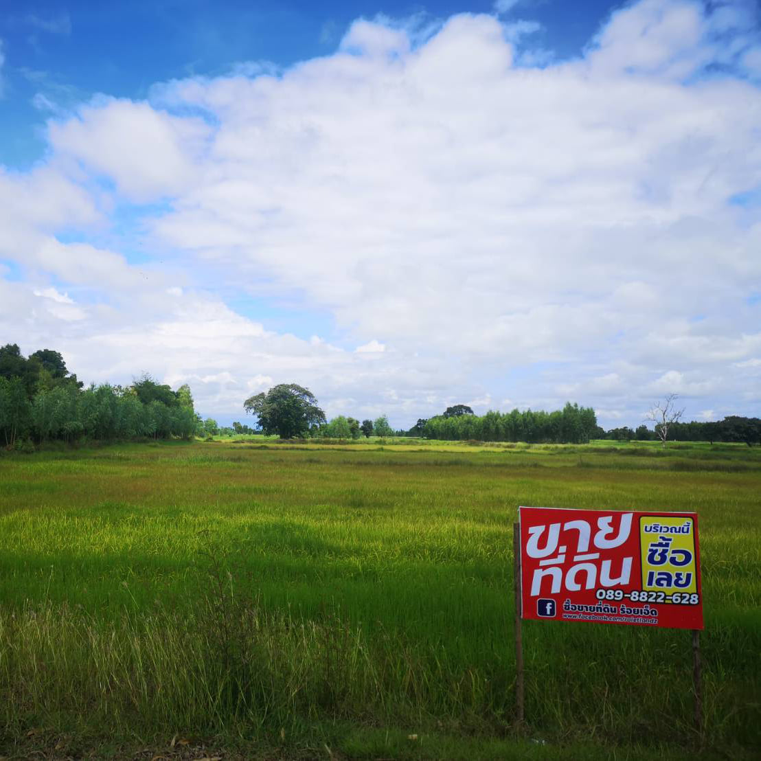 ที่ดินที่นา เมืองสุรินทร์ 14-2-98
