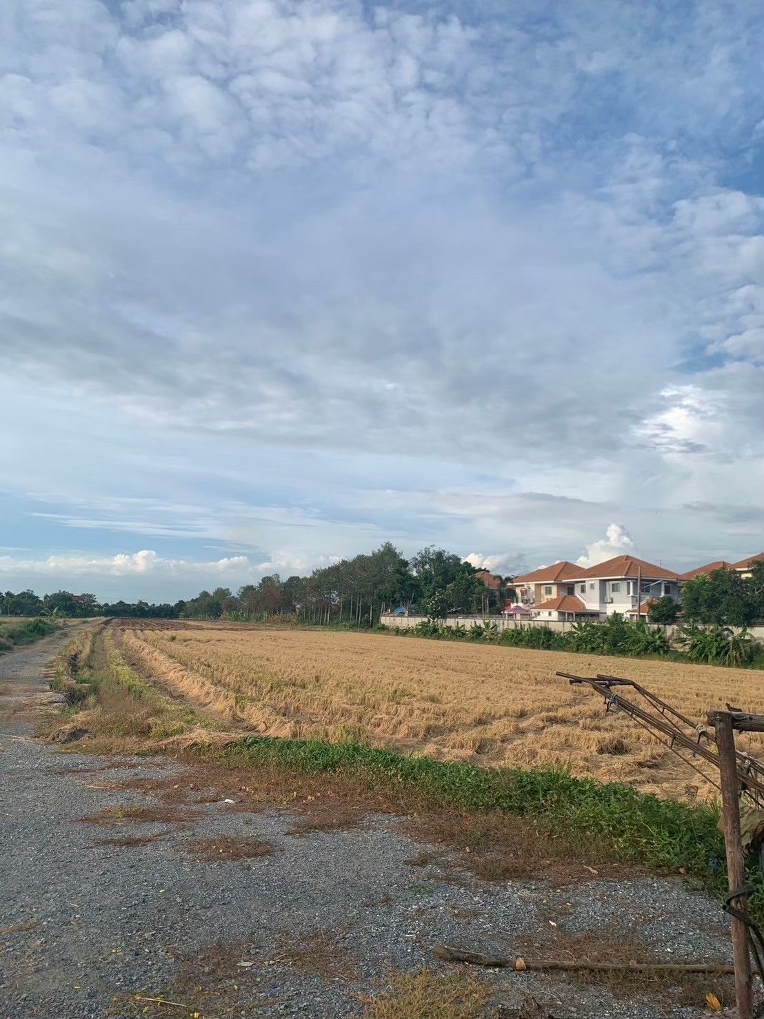 ขายที่ดินนนทบุรี อำเภอบางบัวทอง ที่ดินสามารถ ทำบ้าน เดียวและบ้านแฝดได้