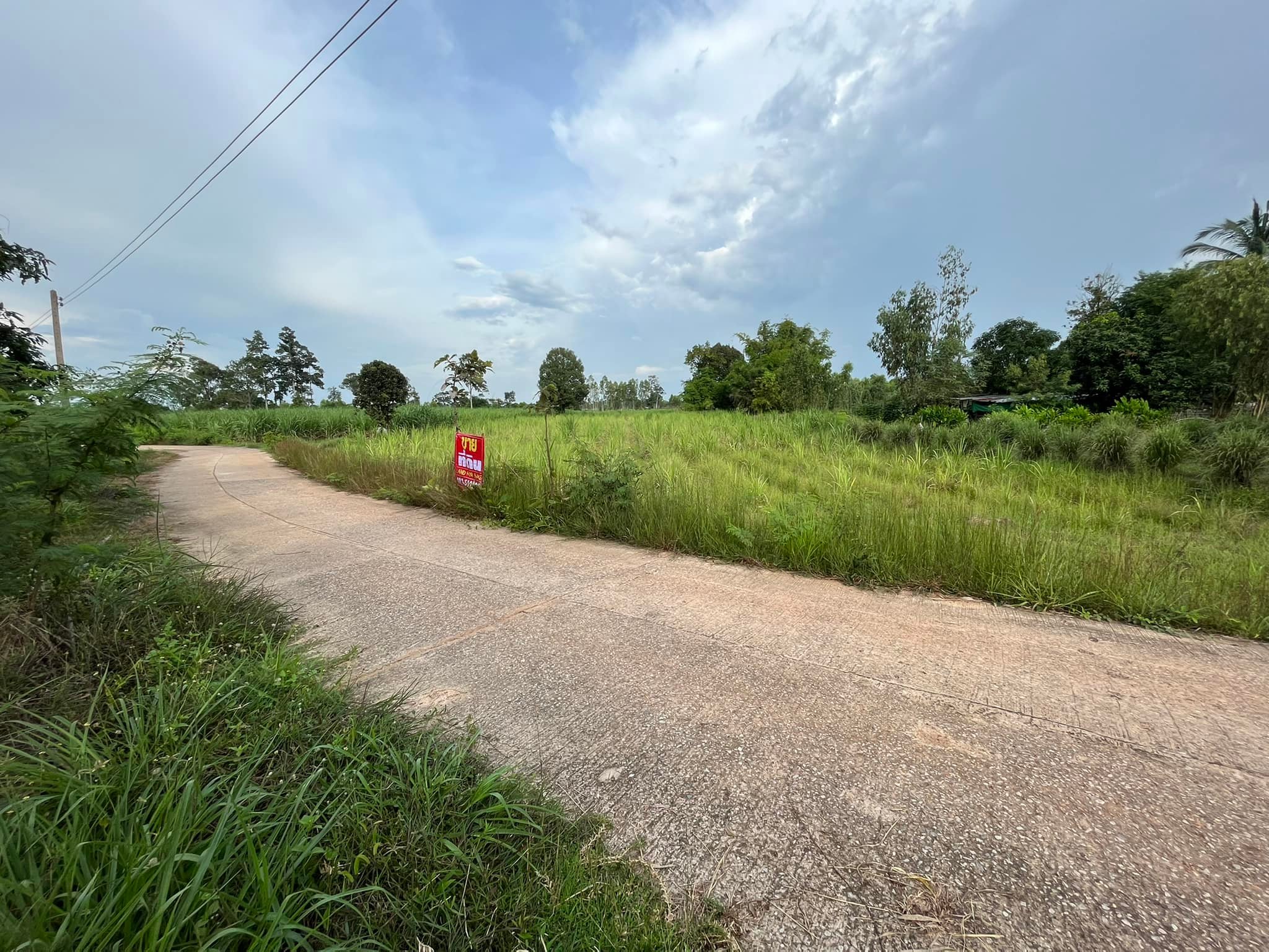 ขายที่ดินร้อยเอ็ด อ.โพนทอง 0-1-2 ตรว.
