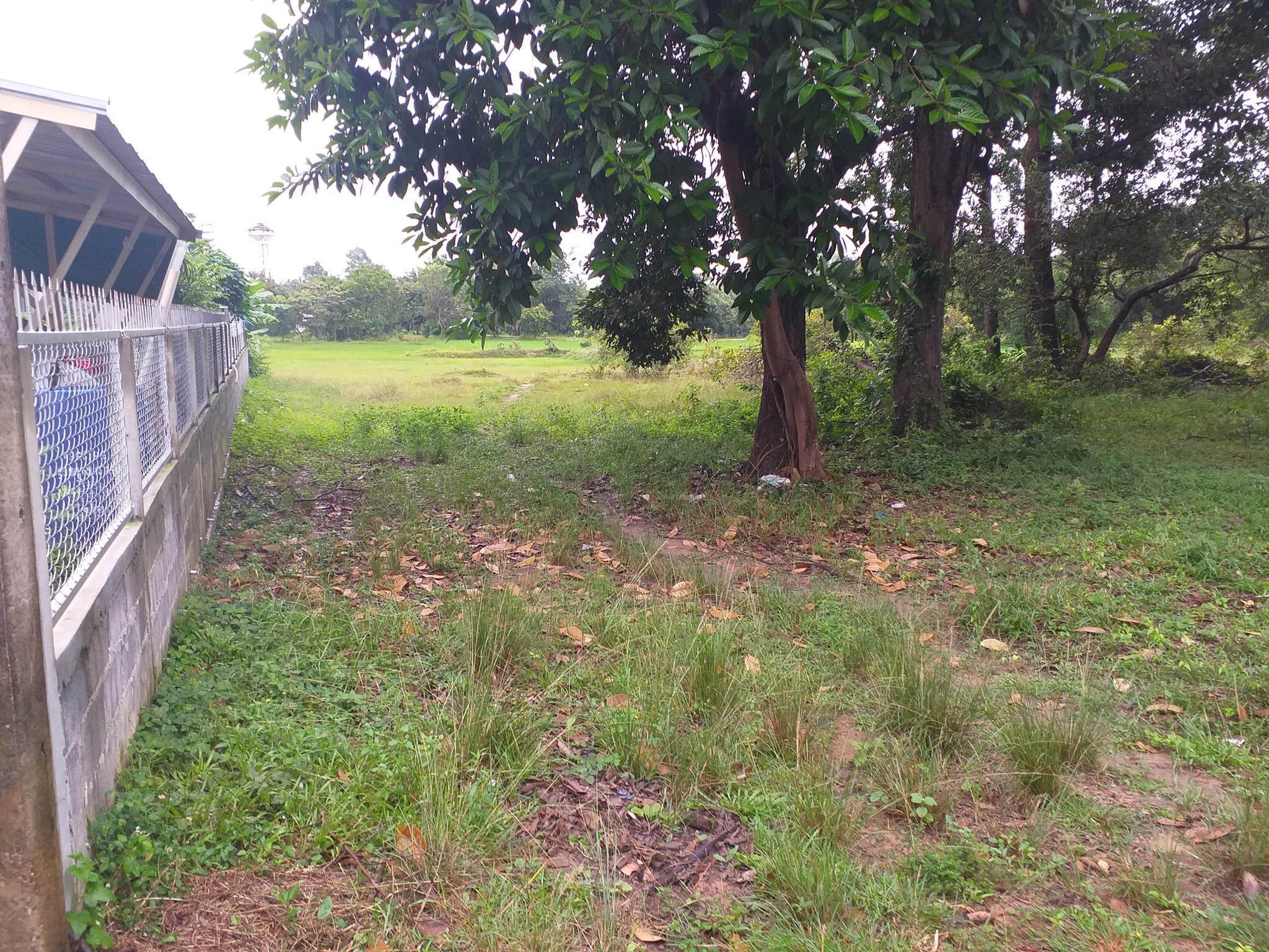 ขายที่ดินอุบลฯ เมืองอุบลฯ