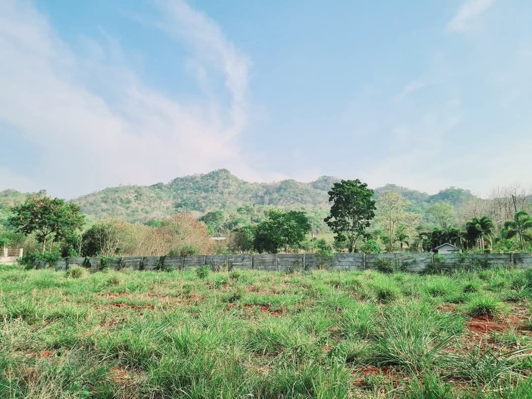 ขายที่ดินเขาใหญ่ 1  ไร่ หนองน้ำแดง ปากช่อง ทางขึ้นเขาใหญ่