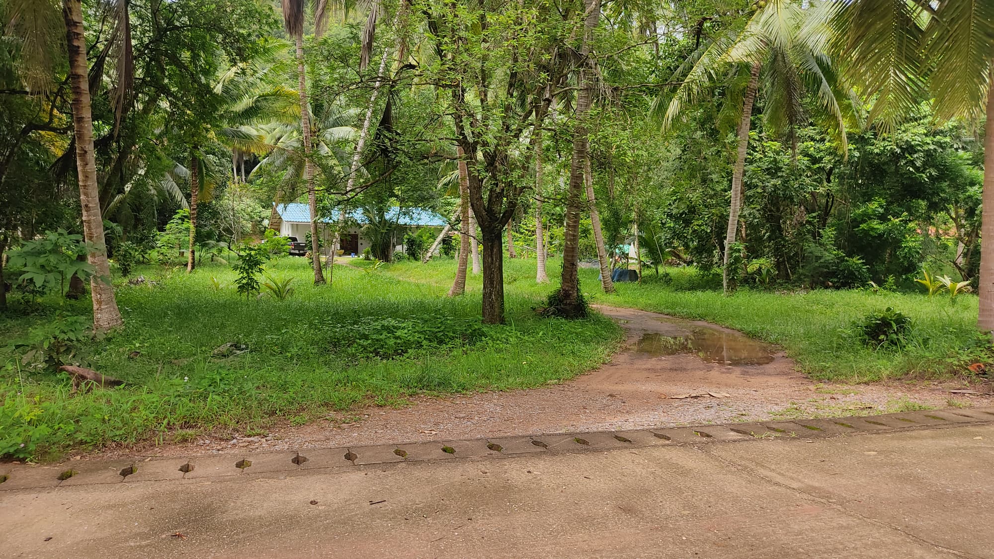 บ้านพร้อมที่ดินชุมพร อ.เมืองชุมพร จ.ชุมพร