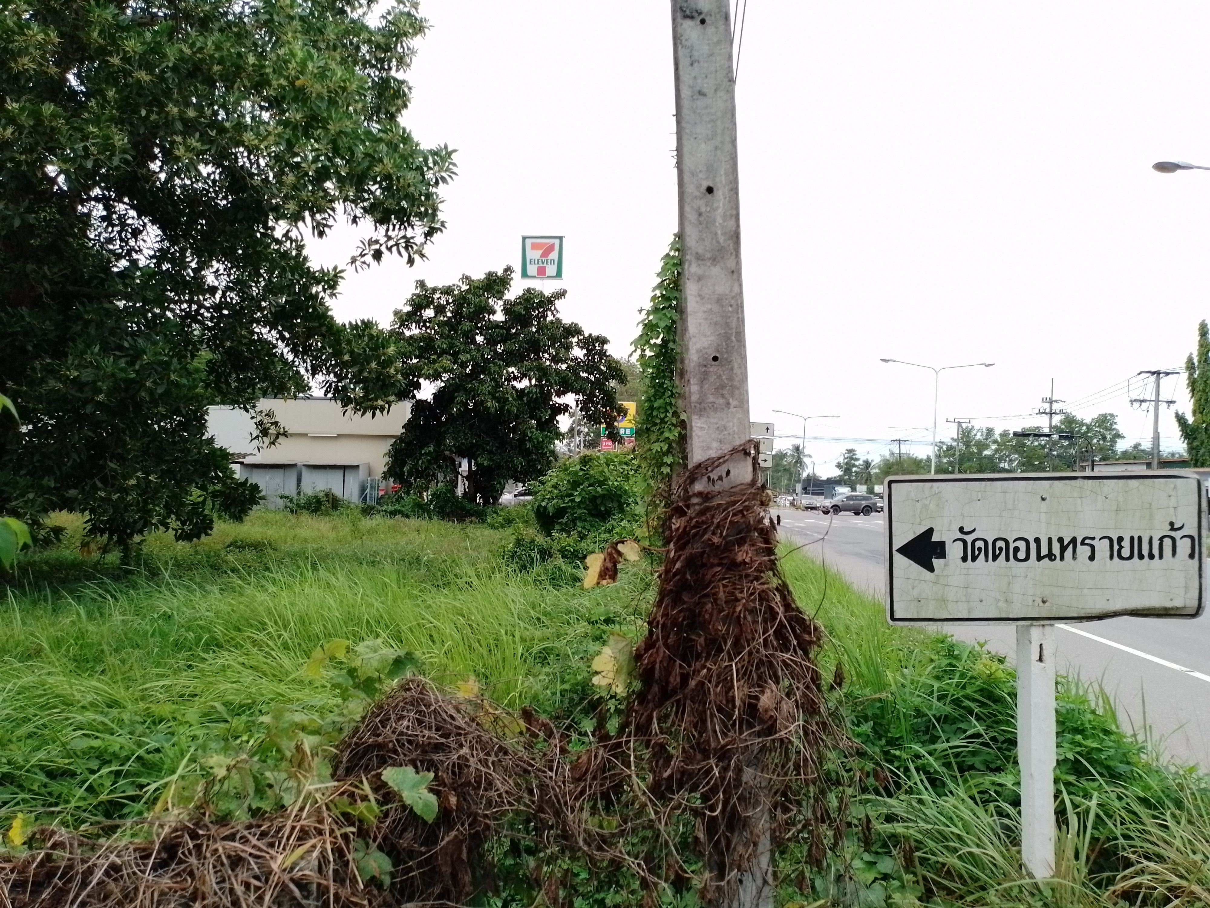 ขายที่สวยข้างเซเว่น 4แยกนาทุ่ง จ.ชุมพร หน้ากว้างติดถนนใหญ่ 28 เมตร