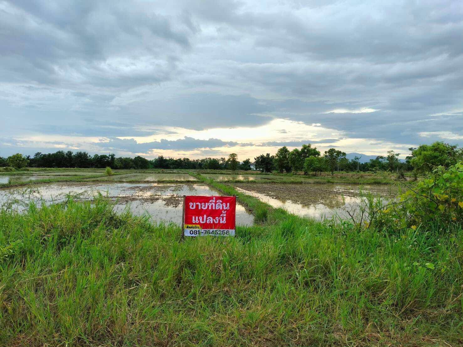 ขายที่ดินลำพูน อำเภอบ้านธิ ที่ดินแปลงสวย บรรยากาศดี ติดถนนสาธารณะ สามารถลงทุนได้หลากหลาย 12-2-54.7 ไร่.