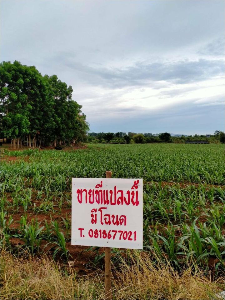 ที่ดินสวยๆ ข้างหน้าติดถนนสาธาณะประโยน์  สระแก้ว 9-1-96