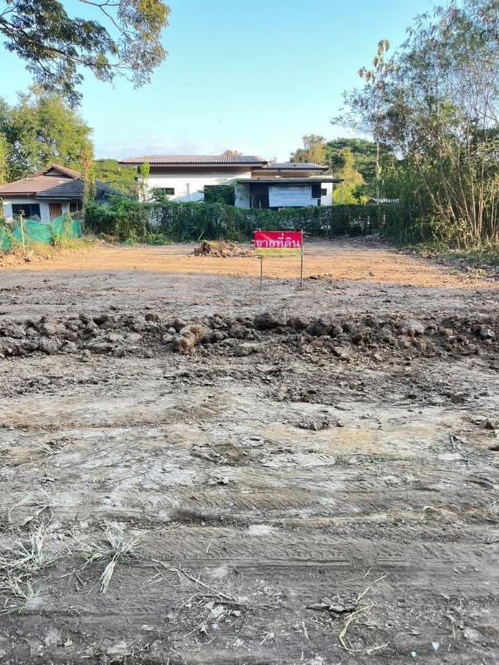 ขายที่ดิน บ้านสันไร่ ซอย 5 100 ตรว. ต.สันกำแพง อ.สันกำแพง จ.เชียงใหม่