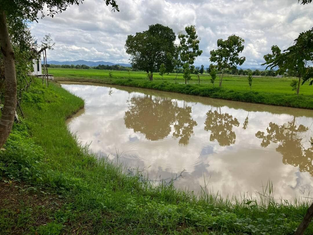 ขายที่ดินเชียงใหม่ ดอยสะเก็ด 12-2-17.5