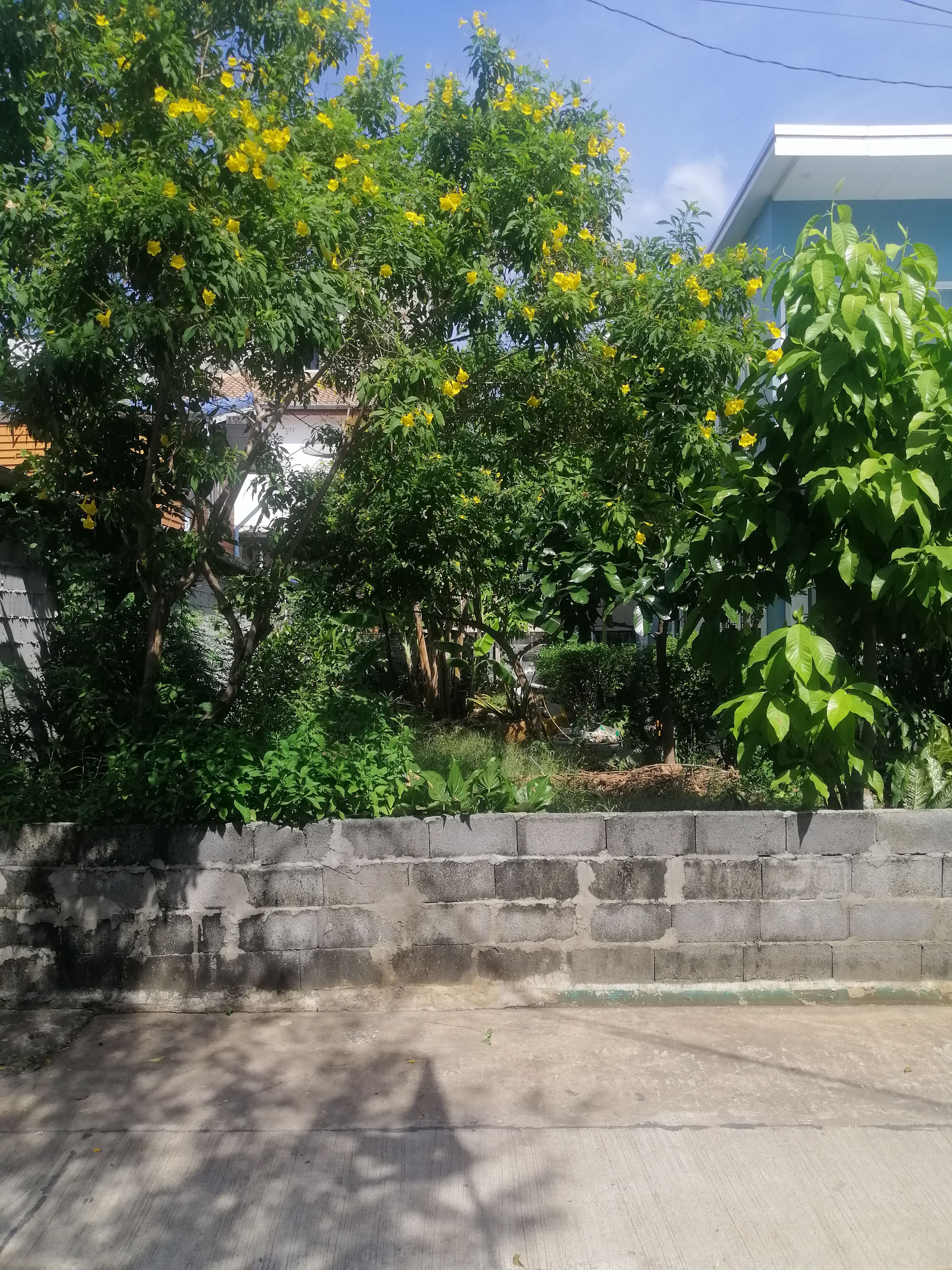 ขายที่ดินเปล่าถมแล้ว 30 ตรว. ซอยสุขสวัสดิ์ 26 แยก 2-1 ห่างรถไฟฟ้าสายสีม่วง สถานีบางปะกอก เพียง 700 เมตร 
