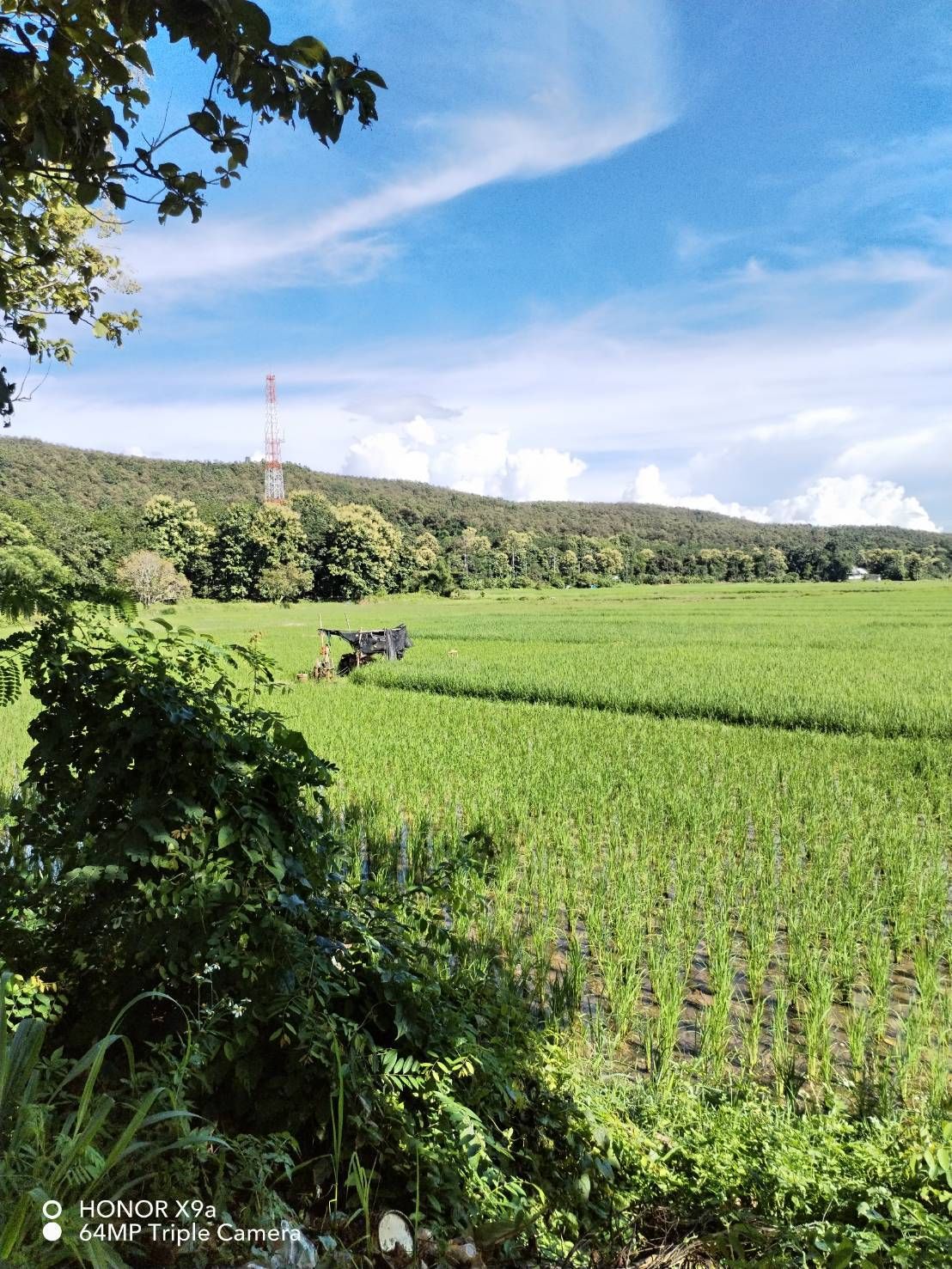 ขายที่ดินเชียงราย  อำเภอพาน  ที่ดินแปลงใหญ่ ทำเลดี น่าลงทุน