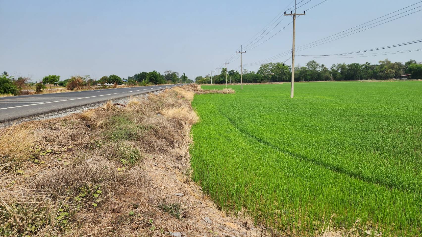 ที่ดินติดถนนใหญ่-ติดแม่น้ำท่าจีน ราคาไร่ละไม่ถึงล้าน มีอยู่จริง