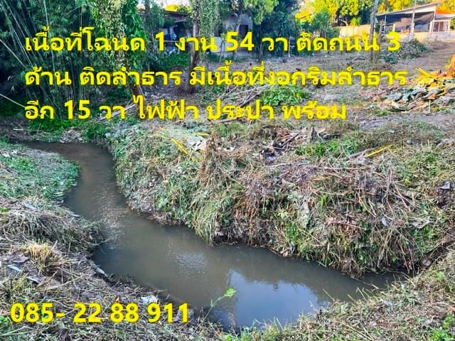 ที่ดินเชียงดาว ติดลำธาร ติดถนน มีโฉนด ไฟฟ้า ประปาพร้อม