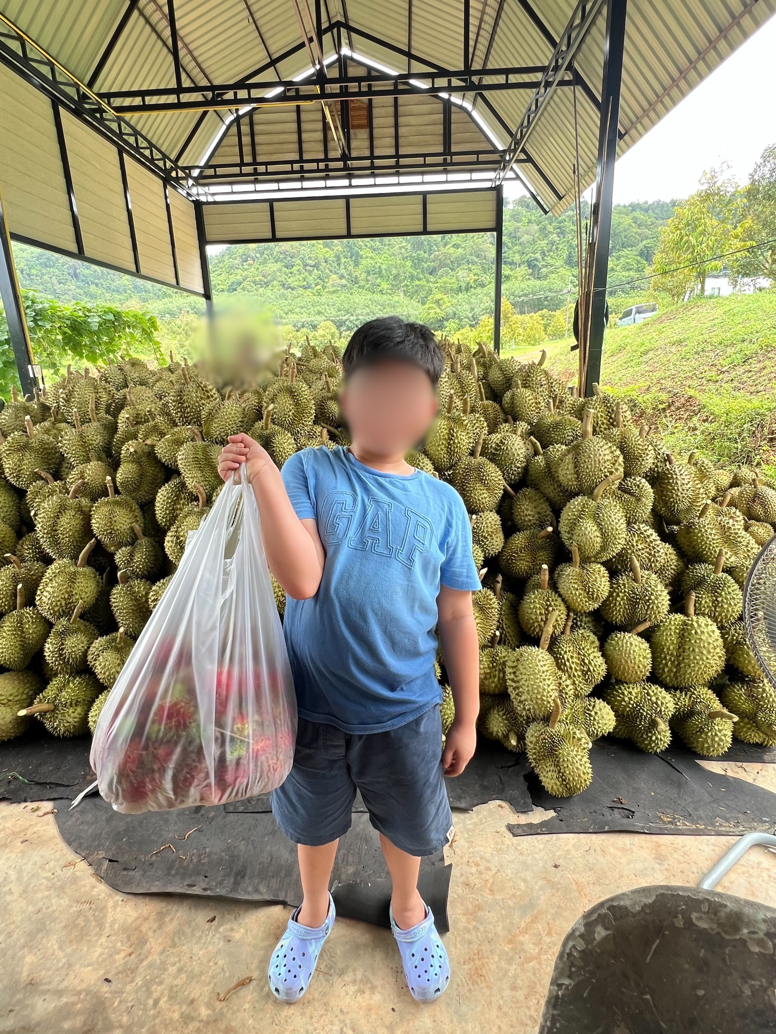 ขายที่ดินจันทบุรี นายาอาม ที่ดินสวนทุเรียน อายุ 7-8 ปี 