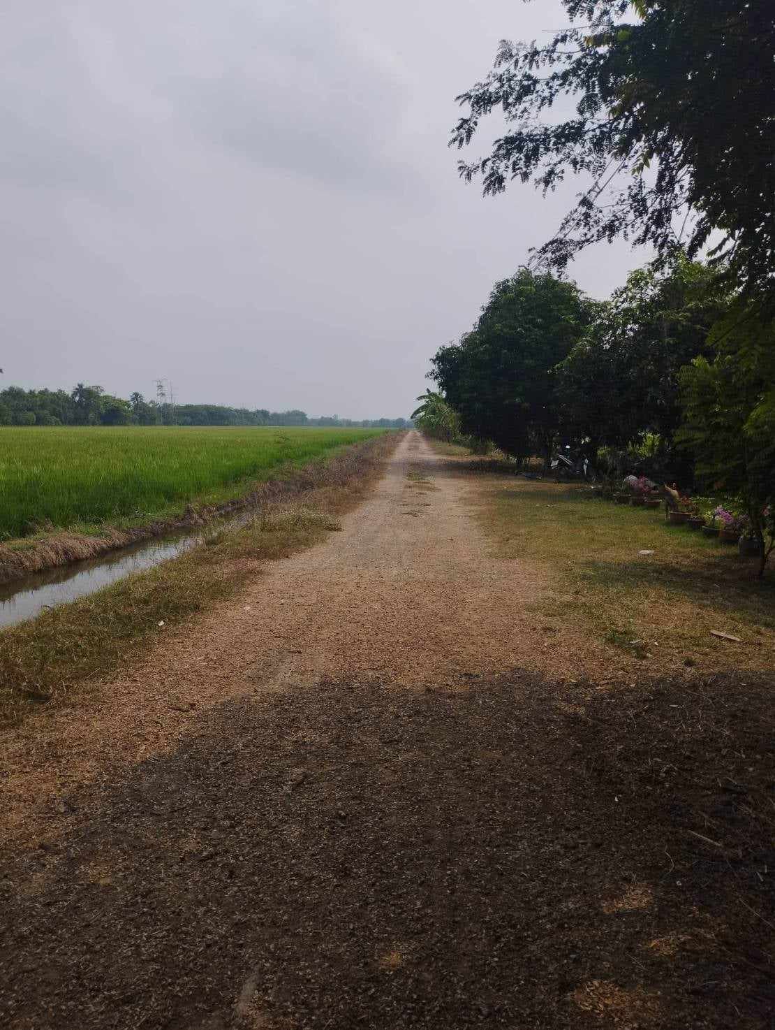 คุณป้าต้องการขายที่ดิน 57 ไร่ อ.ลาดหลุมแก้ว