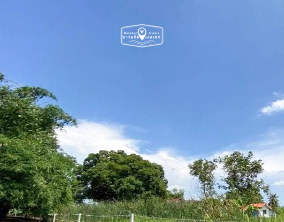 ที่ดินเปล่า ที่ดินหนองจอก ราคาถูก