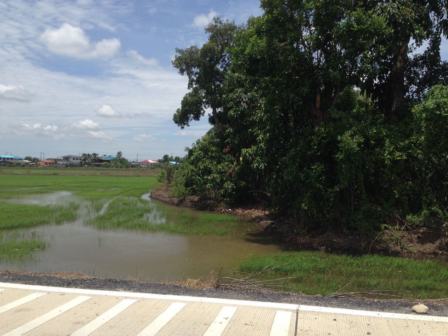 ขายที่ดินปทุมฯ ลำลูกกา ที่ดินหัวมุม