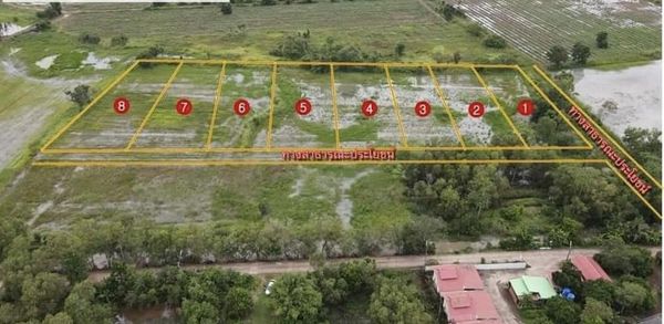 ที่ดินราคาถูก ปราจีนบุรี 10-1-25