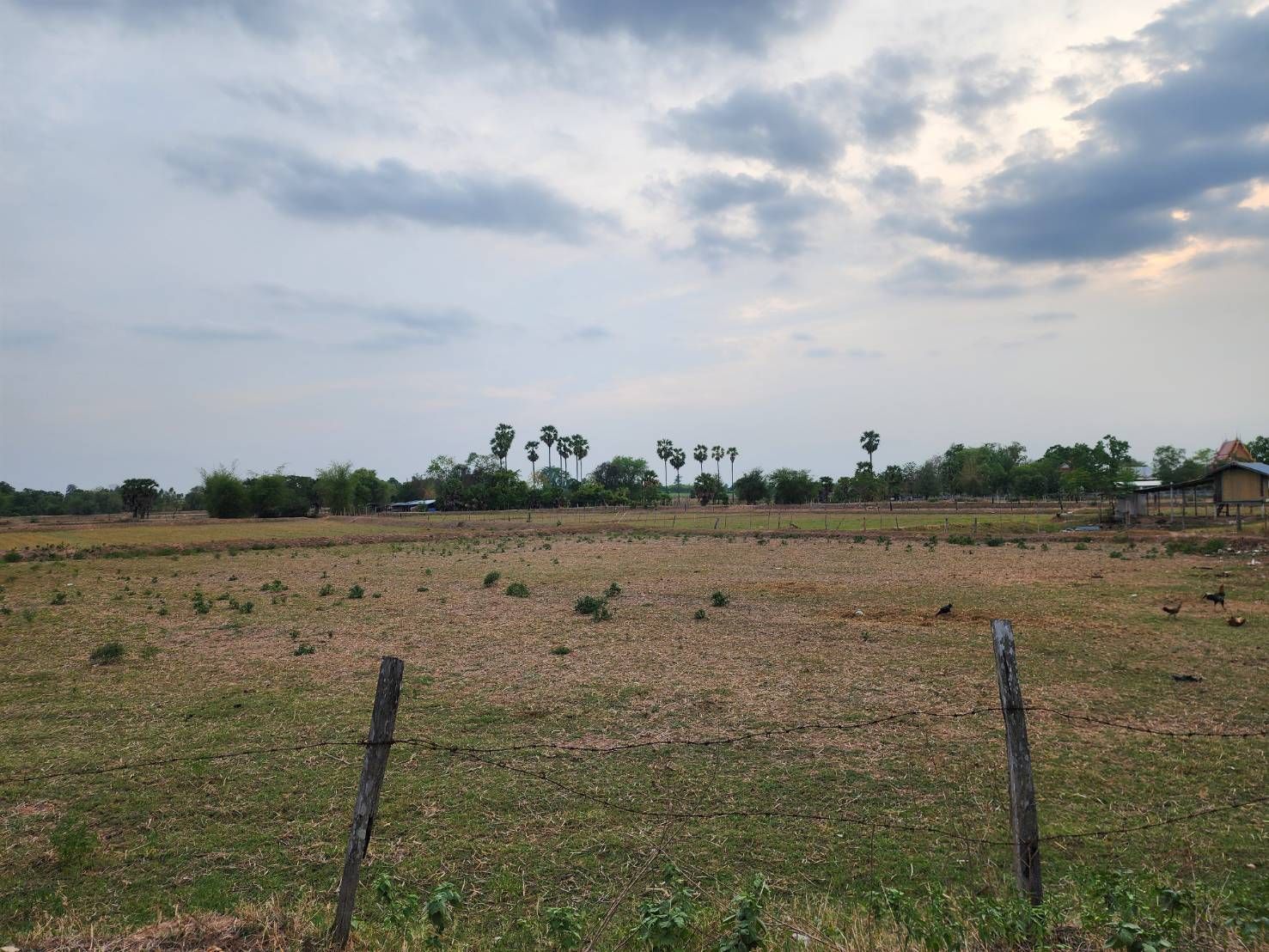 ขายที่ดินขอนแก่น ในชุมชน บรรยากาศดี ติดถนนสาธารณะ เดินทางสัญจรคล่องตัว บ้านไผ่ 1-3-96 ไร่.