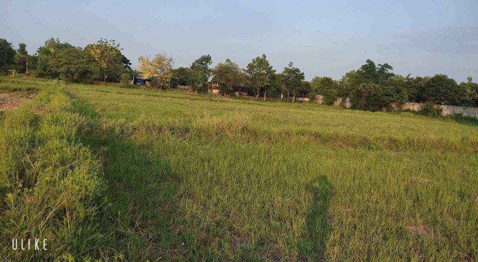 ขายที่ดินบุรีรัมย์ เมืองบุรีรัมย์ 6-2-67 ไร่