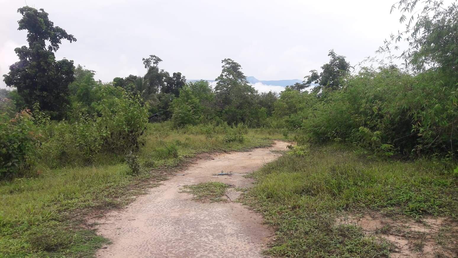 ที่ดิน บึงกาฬ 35-1-60