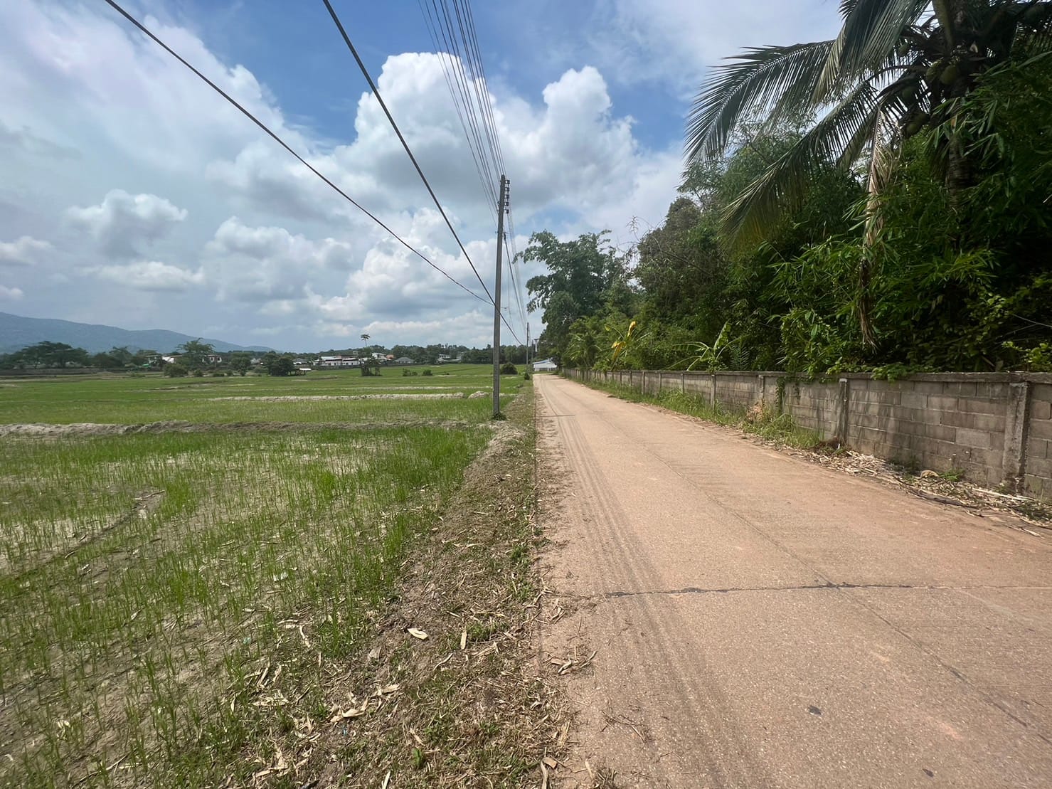 ขายที่ดิน เชียงราย 7-3-63 ไร่