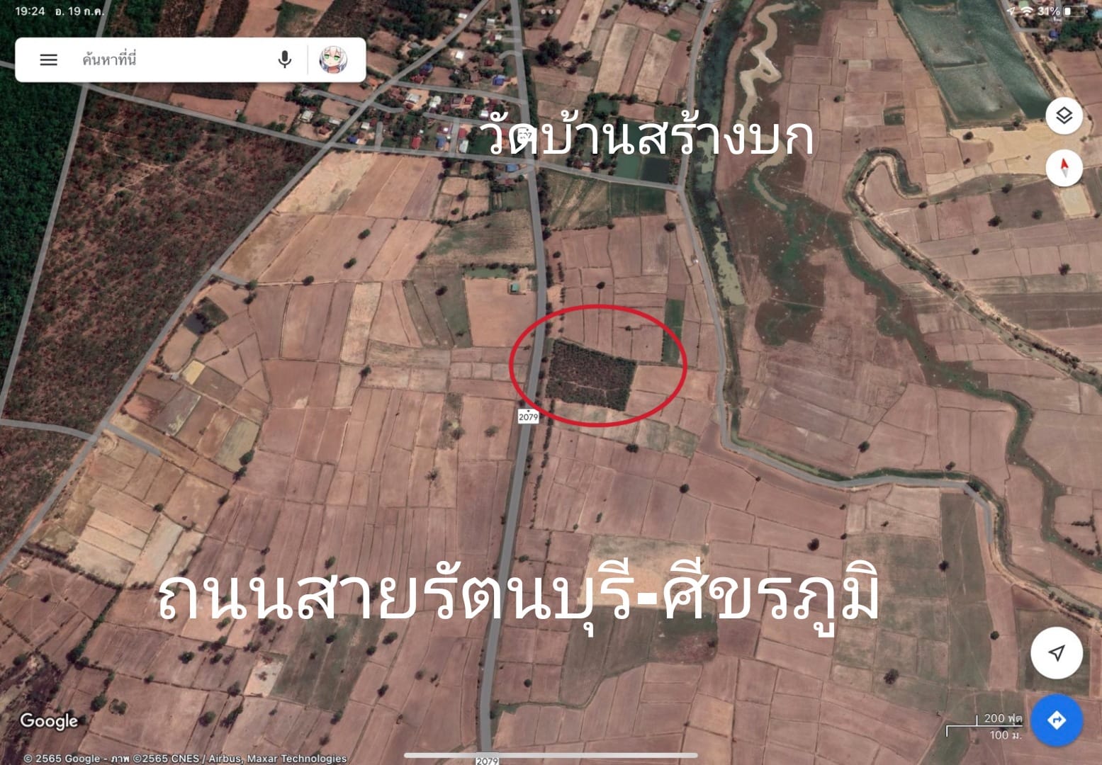 ขายที่ดินสุรินทร์ รัตนบุรี 5-1-59