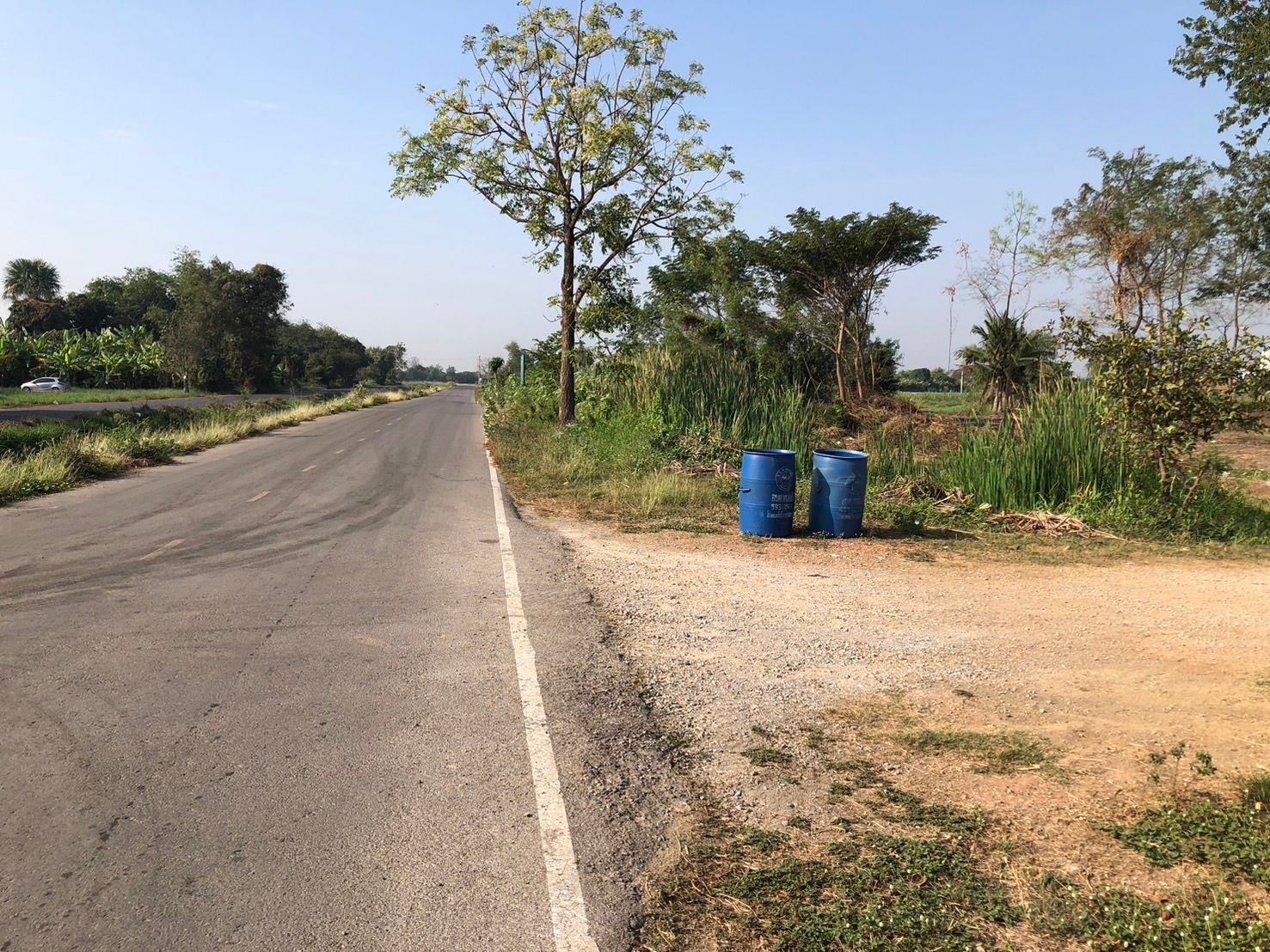 ขายที่ดินราชบุรี อำเภอโพธาราม ขายด่วนที่ดินเปล่า