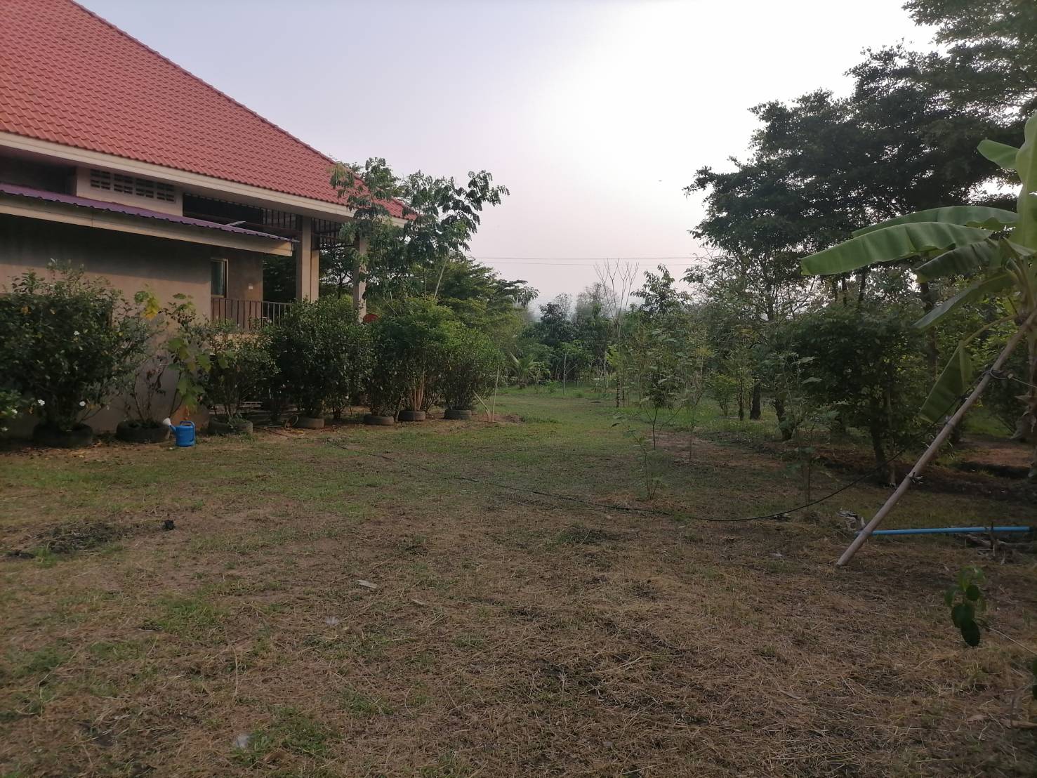 บ้านสวนในหมู่บ้านกาดฮาว ต.สะลวง อ.แม่ริม เชียงใหม่ 5-0-96