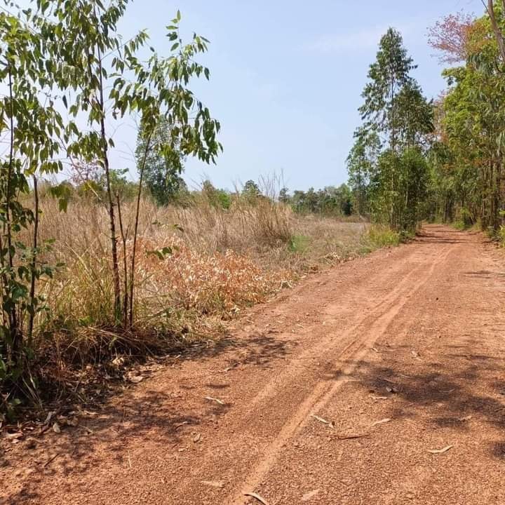ขายที่ดิน อุดรธานี 3 ไร่