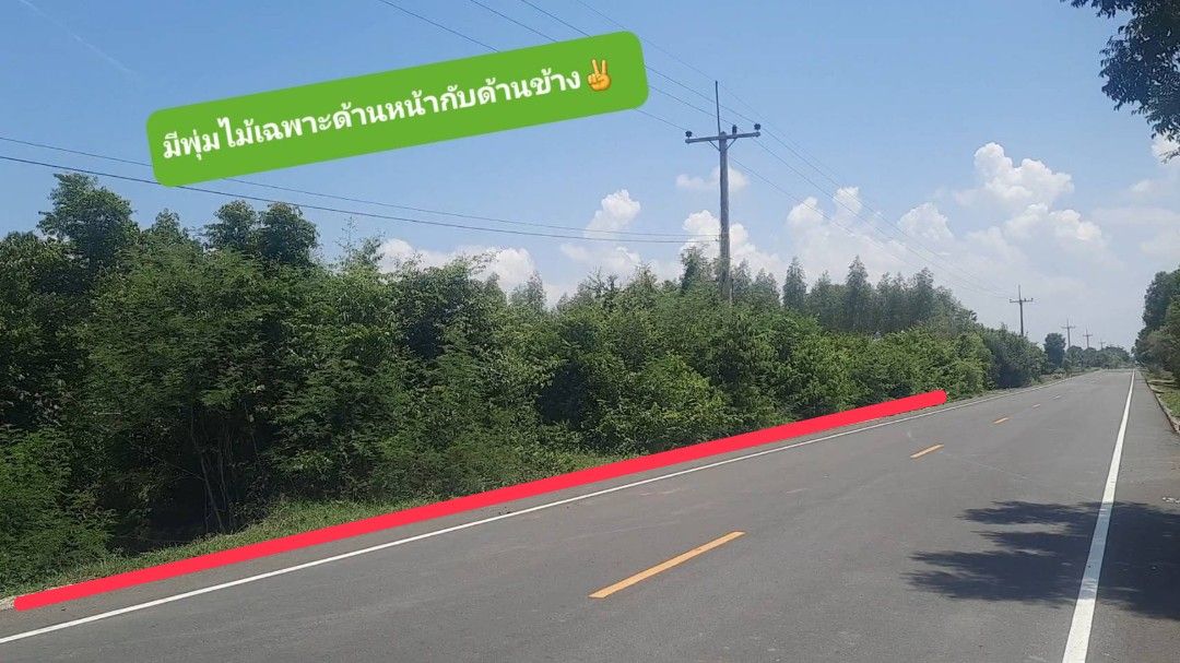 ขายที่ดินชัยนาท ติดถนนลาดยาง มีถนนติดแปลงถึง 2 ฝั่ง 