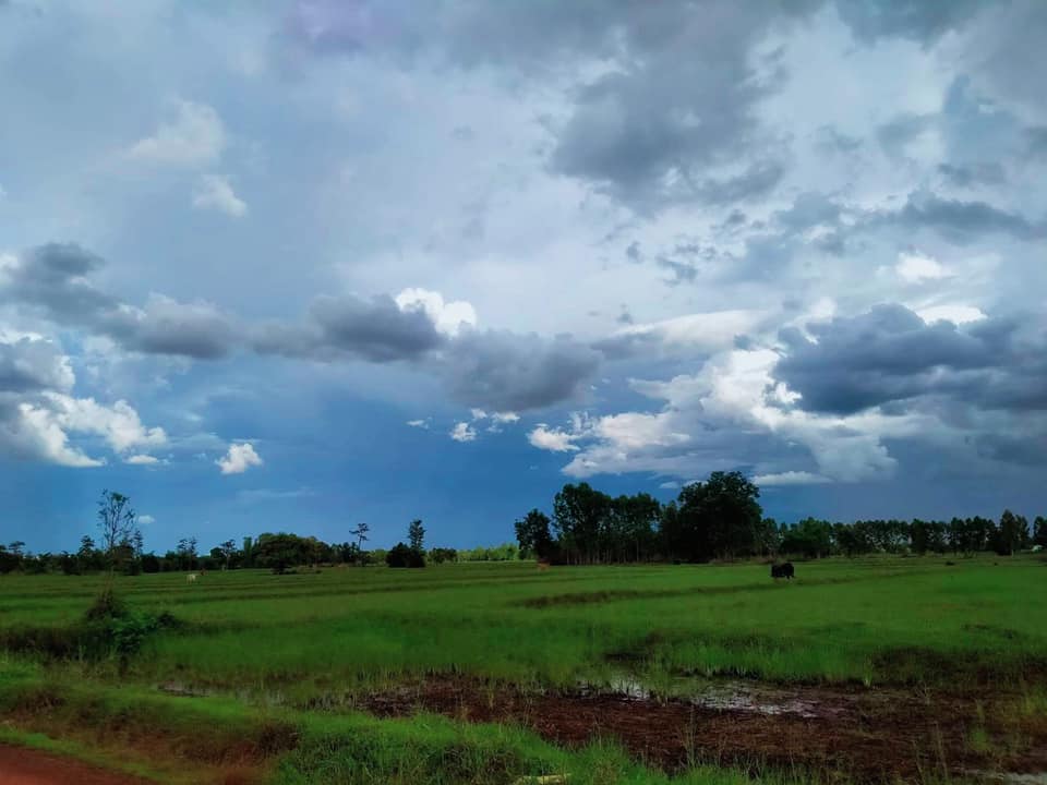 ขายบ้านพร้อมที่ดิน จ.อุบลราชธานี อ.เดชอุดม 22-1-7.9 ไร่