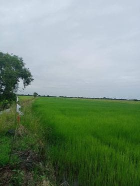 ที่ดินแปลงยาว เมืองนครนายก ติดถนนสาธารณะ
