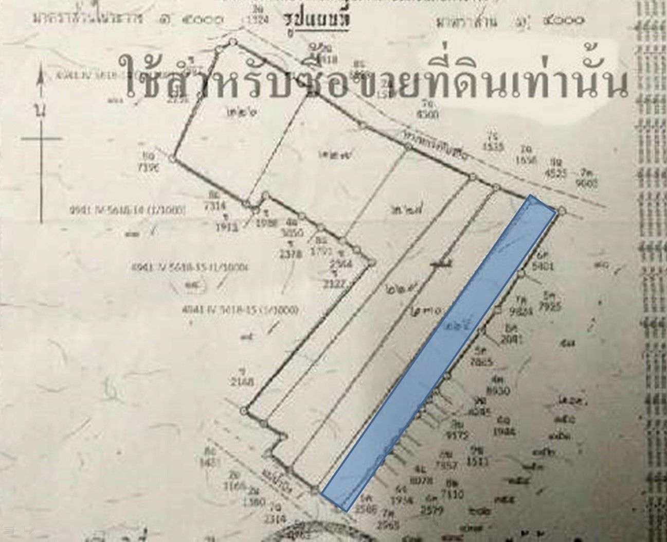 ที่ดินริมแม่น้ำปิง ใกล้ห้าง ปั้มน้ำมัน มหาวิทยาลัย อยู่ในเมือง อ.เมือง จ.กำแพงเพชร 