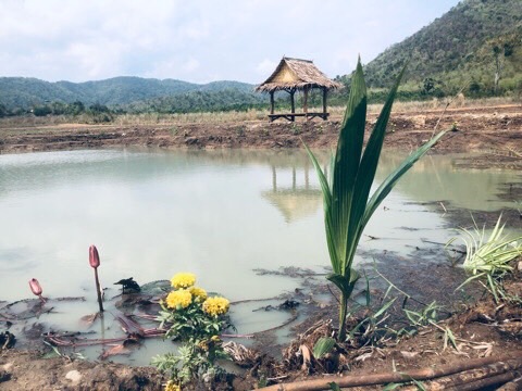 ที่ดินแบ่งขาย วิว 360 องศา สุพรรณบุรี มีหลายราคา