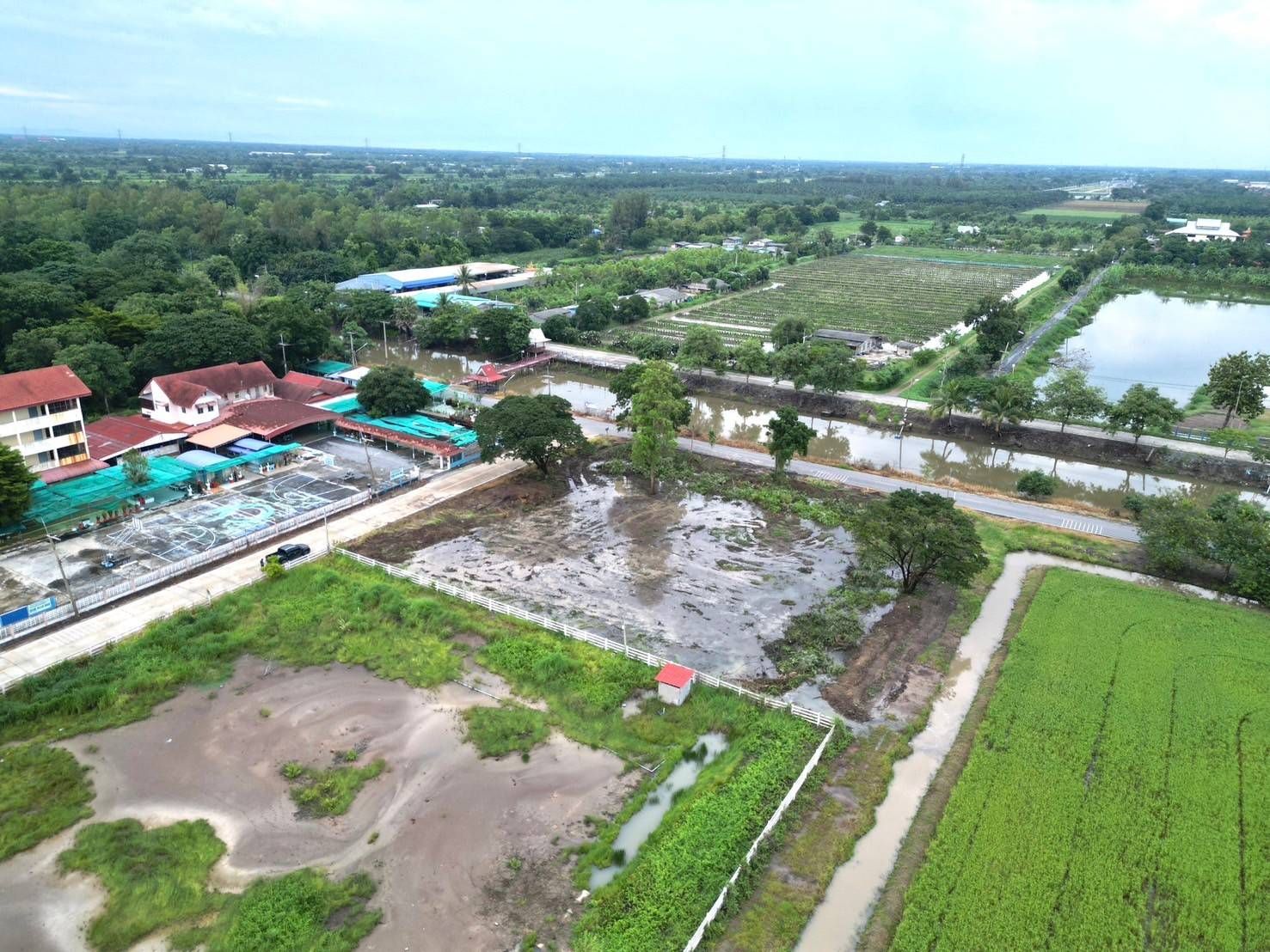 ขายที่ดินปทุมธานี อำเภอหนองเสือ ที่ดินแปลงสวย ใกล้โรงเรียนจุฑารัตน์วิทยา 2-1-24 ไร่.