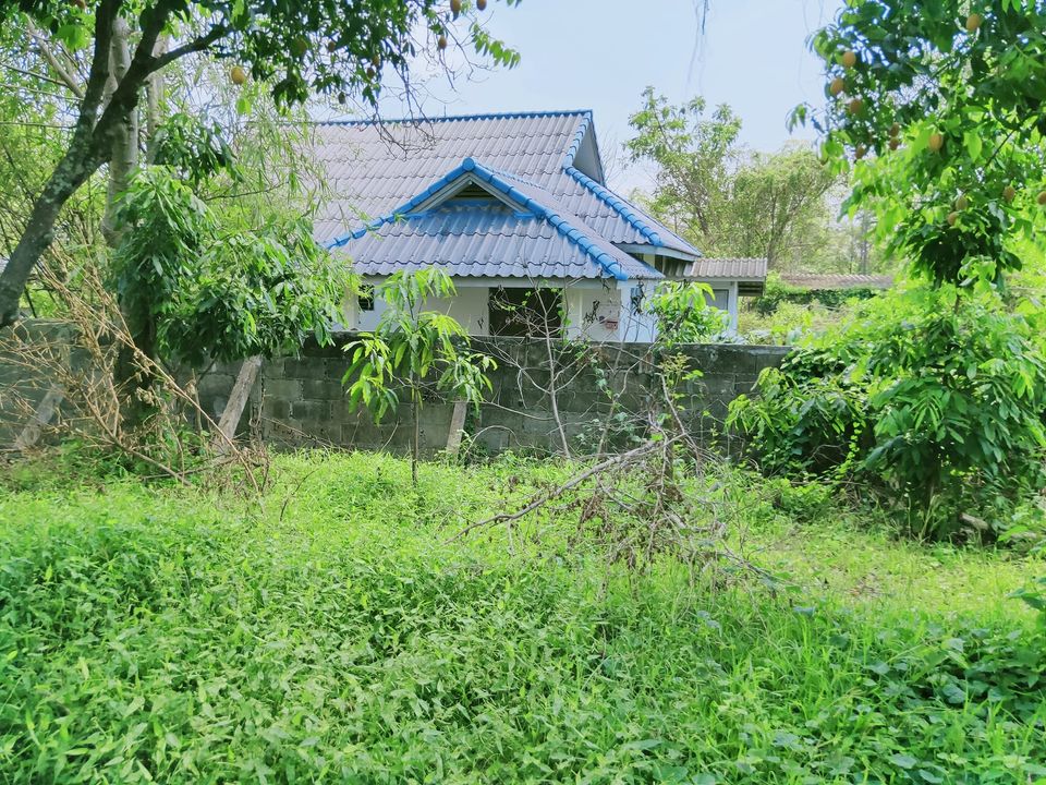 ที่ดินพร้อมสิ่งปลูกสร้าง ตาก 161 ตรว.