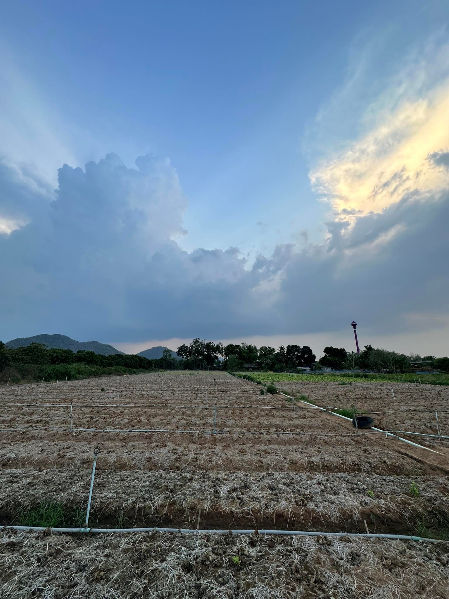 บ้านพร้อมที่ดิน