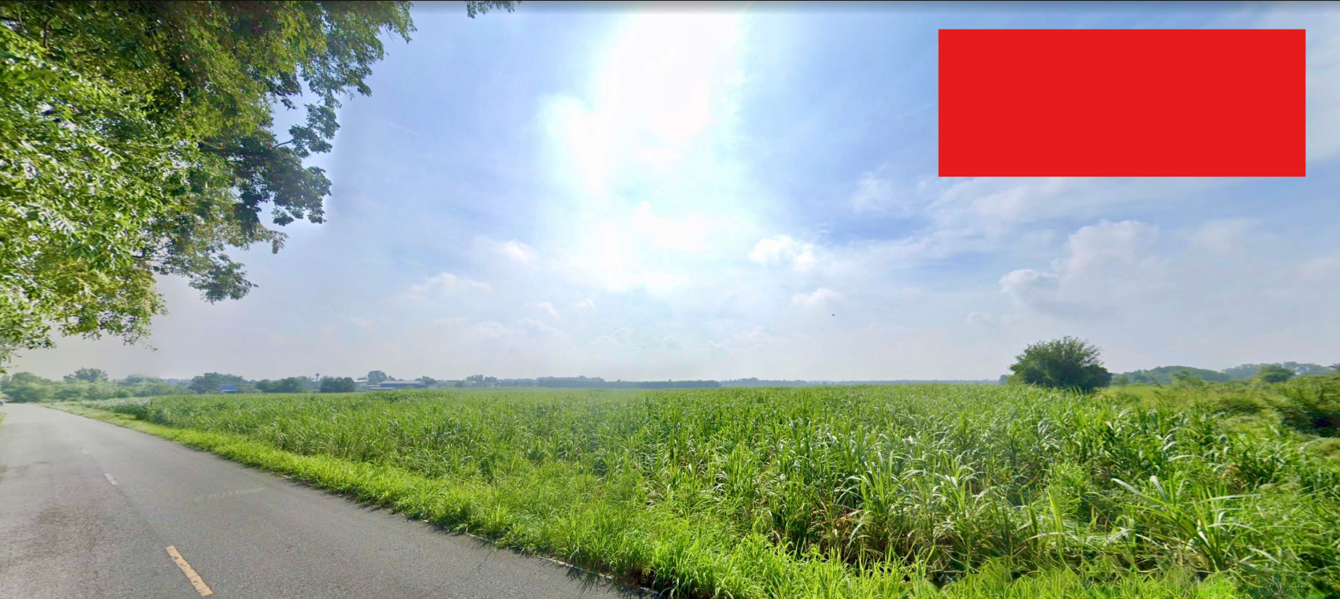 ขายที่ดินชลบุรี บ้านบึง พื้นใหญ่ ใกล้ถนน 331 ชลบุรี 