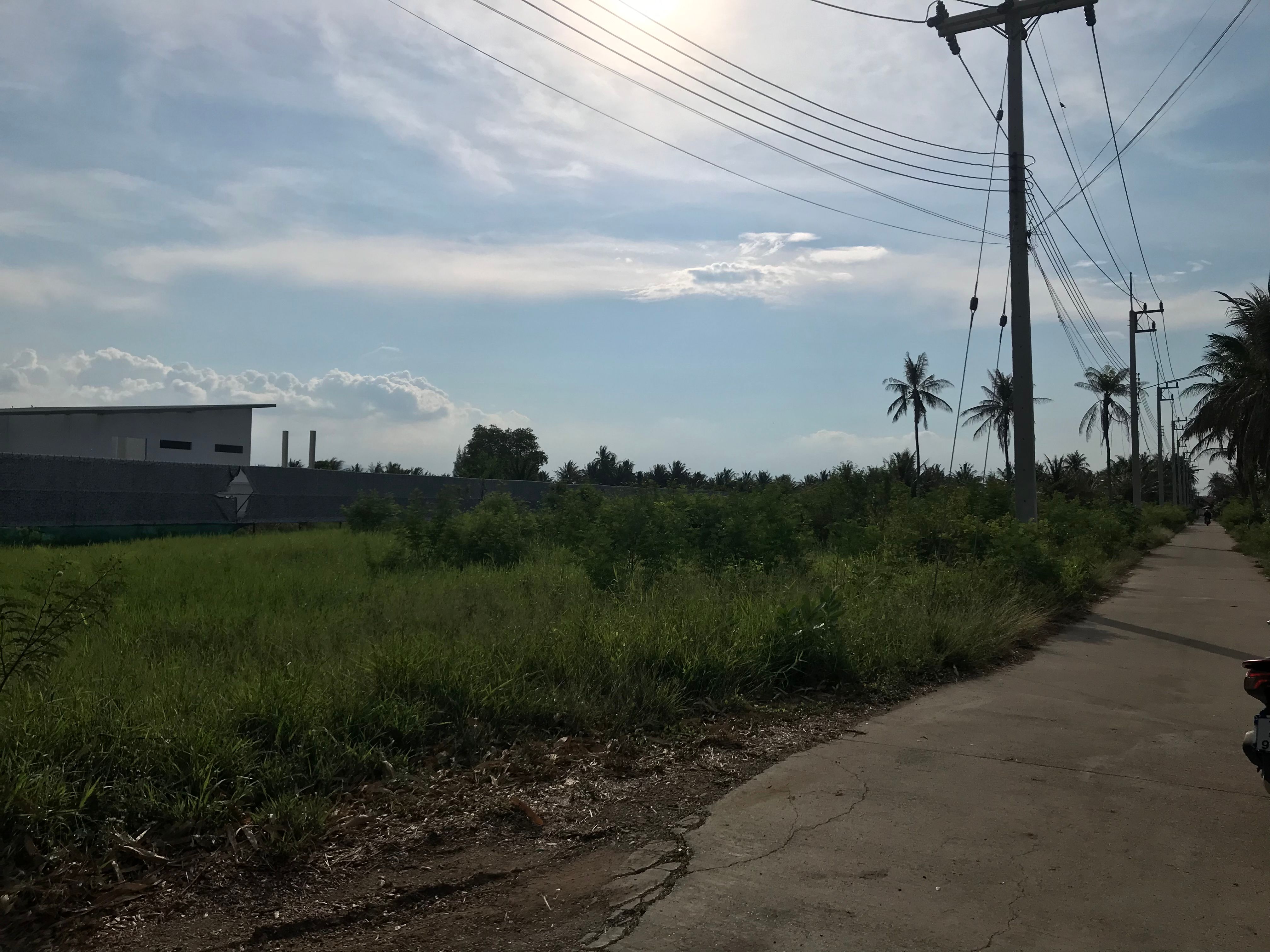 ขายที่ดิน ประจวบคีรีขันธ์ ปราณบุรี