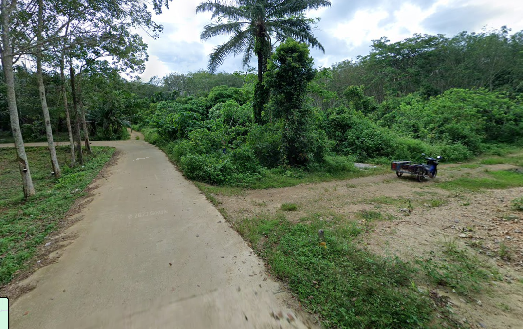 ขายที่ดินกระบี่ บรรยากาศดี แปลงสวย ใกล้โรงเรียนหนองทะเลวิทยา 0-2-95